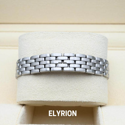 Montre Femme - Panthère Acier