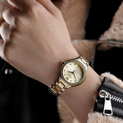 Montre emporio Armani Pour Femmes, AR11609