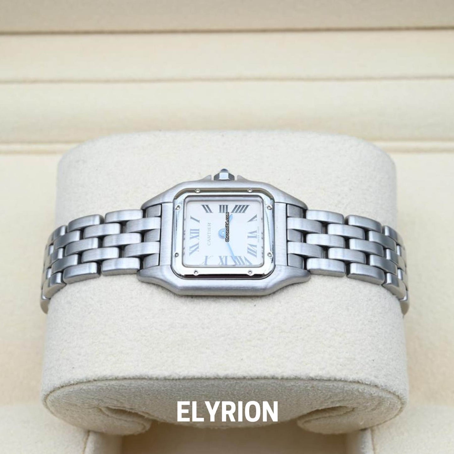 Montre Femme - Panthère Acier